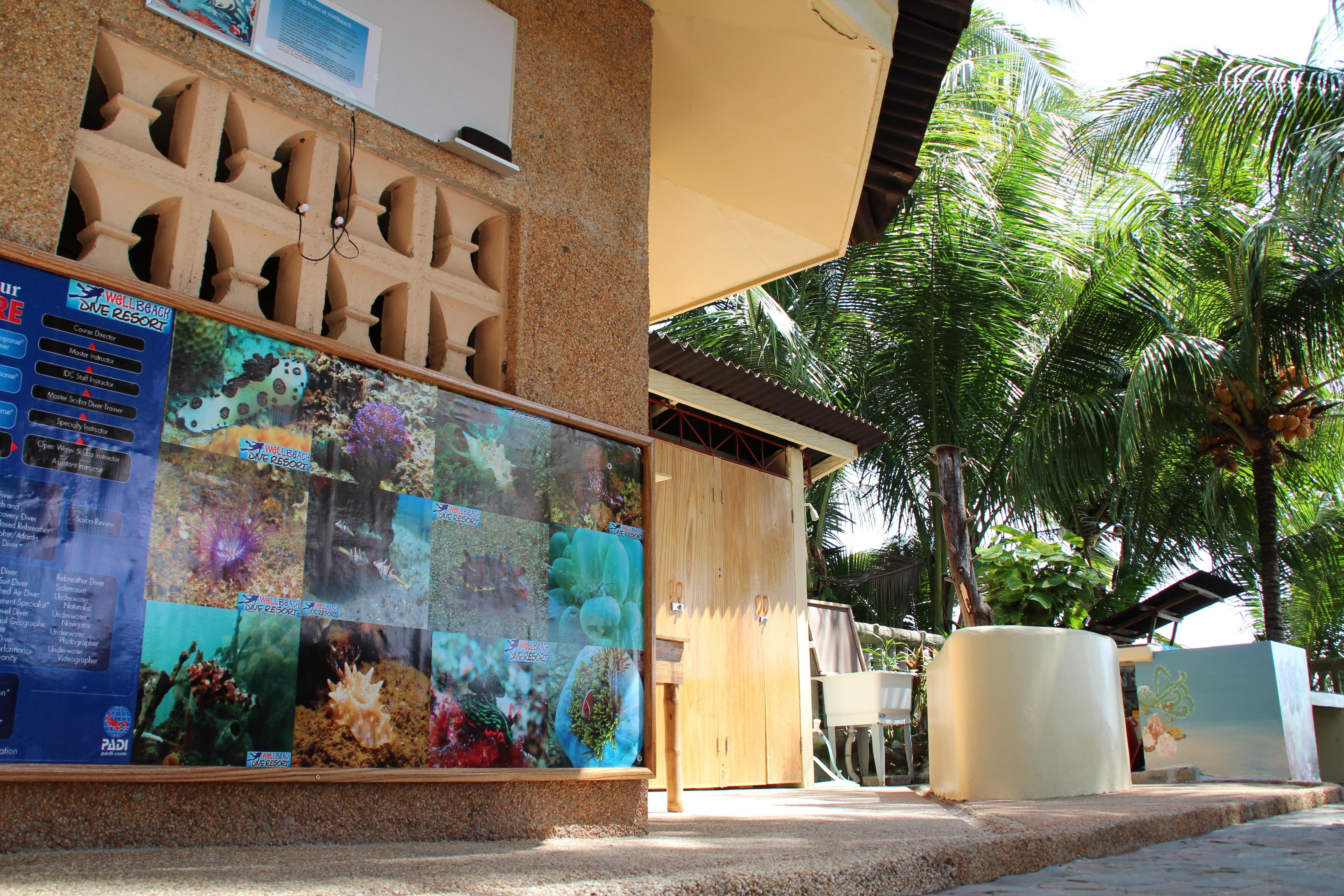 Wellbeach Dive Resort Zamboanguita  Extérieur photo